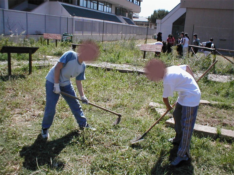 Educazione ambientale: progetto riqualificazione giardino